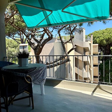 شقة La Terrazza Del Pino توري ديل لاغو بوتشيني المظهر الخارجي الصورة